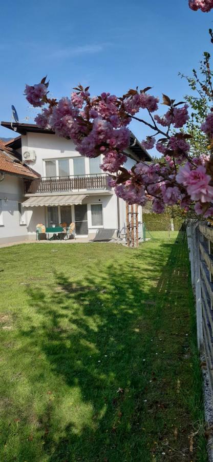 Apartmaji Mojca Krize ภายนอก รูปภาพ
