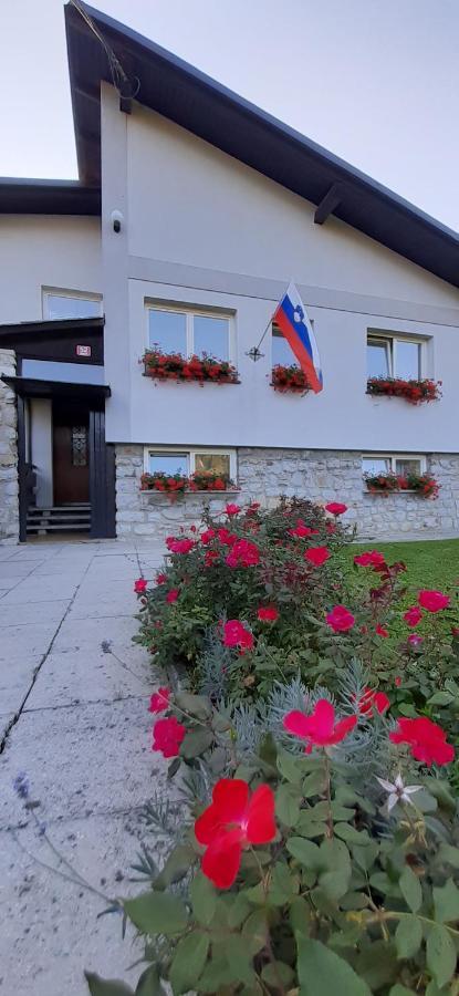 Apartmaji Mojca Krize ภายนอก รูปภาพ