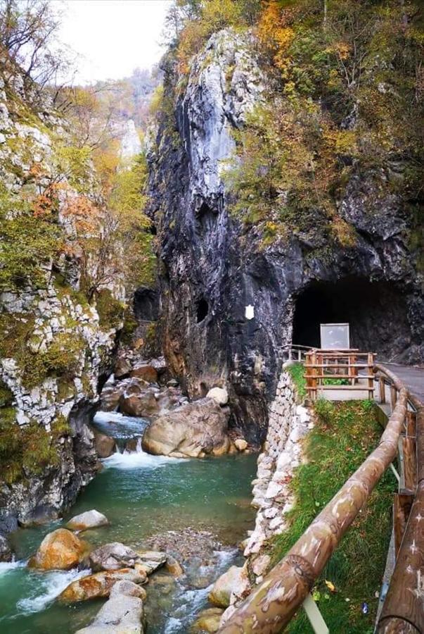 Apartmaji Mojca Krize ภายนอก รูปภาพ