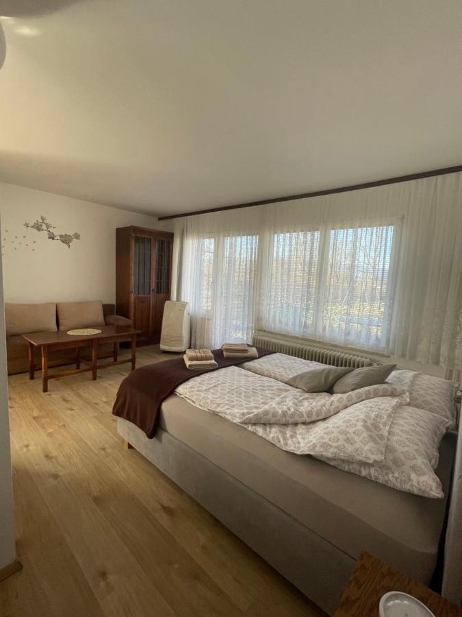 Apartmaji Mojca Krize ภายนอก รูปภาพ