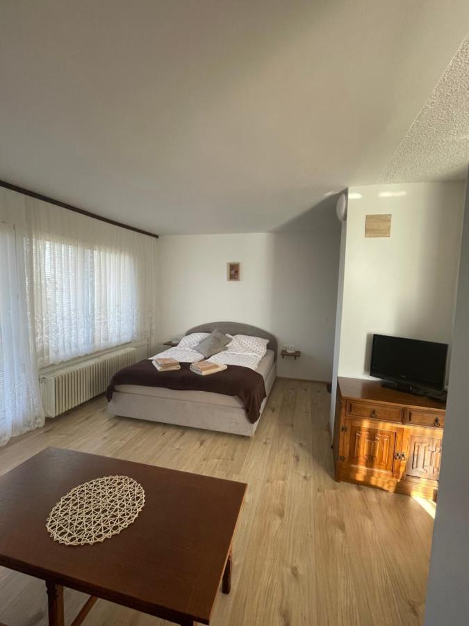 Apartmaji Mojca Krize ภายนอก รูปภาพ
